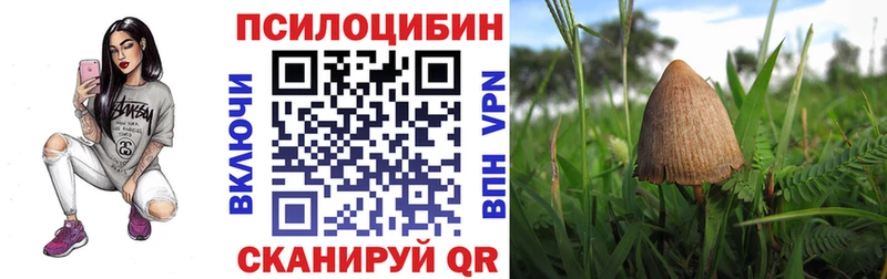 магазин продажи наркотиков blacksprut сайт Галлюциногенные грибы мухоморы Плавск